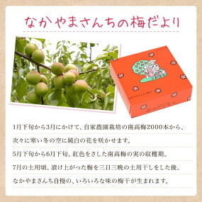 《紀州南高梅》はちみつ梅干し 350g〔化粧箱入り〕◇