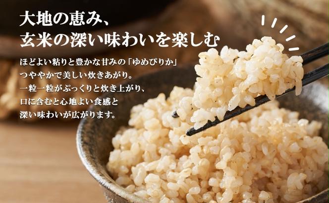 北海道産 ゆめぴりか 玄米 3kg×4袋 計12kg  小分け 米 特A 国産 ごはん グルメ 食物繊維 ヘルシー お取り寄せ 備蓄 長期保存 プレゼント 贈答 ギフト ようてい農業協同組合 ホクレン 送料無料 北海道 倶知安町