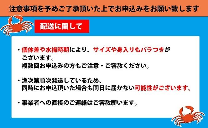 【特選】香箱がに3尾（計約600g）