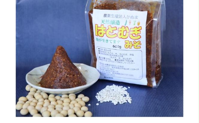 はとむぎ みそ・はとむぎ ぽんぽん詰合せ はとむぎ みそ600g×2  はとむぎ ぽんぽん 55g×2  味噌 みそ お菓子 スナック 駄菓子 伝統菓子