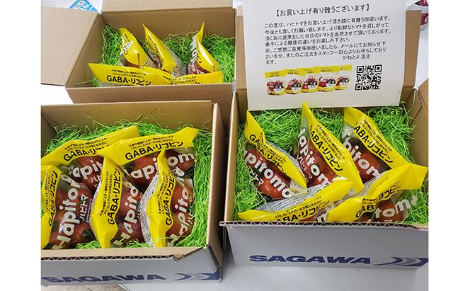 機能性表示食品 Hapitoma ハピトマ 糖度7（1kg）【配送不可：北海道・沖縄・離島】健康 ヘルシー GABA リコピン 人気 厳選 袋井市