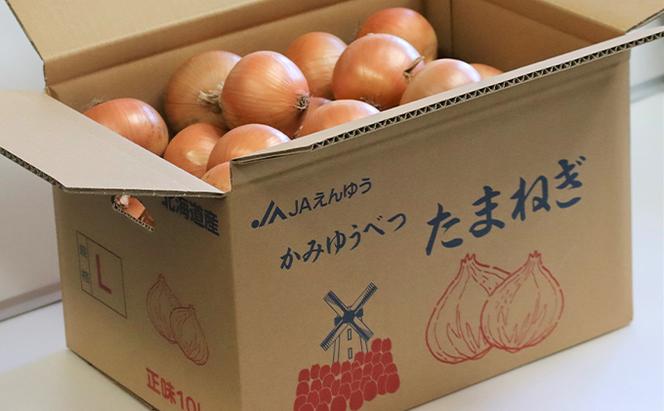 北海道産 玉葱 20kg  （10kg×2箱） たまねぎ 玉ねぎ 国産 産地直送 オホーツク