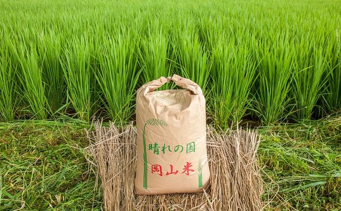 米 令和6年産 「 ヒノヒカリ 」 玄米 30kg（精米用） 岡山県瀬戸内市産