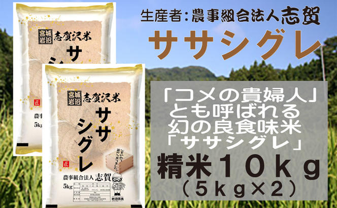 宮城県岩沼市産　志賀沢米　ササシグレ　精米10kg（5kg×2）