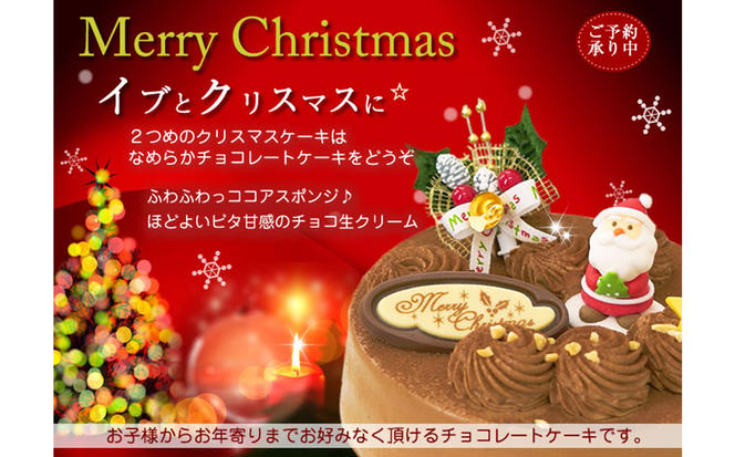 北海道・新ひだか町のクリスマスケーキ『生チョコラータ』口どけなめらか 生チョコレートケーキ【お届け予定：12/20～12/24】冷凍発送