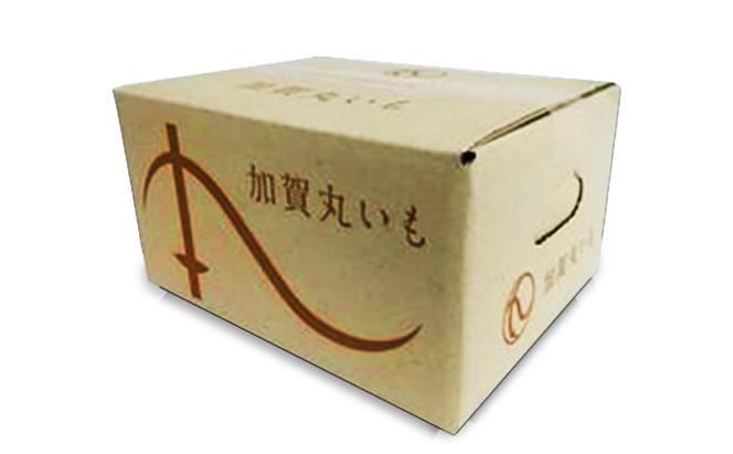 能美市産 加賀丸いも 2kg