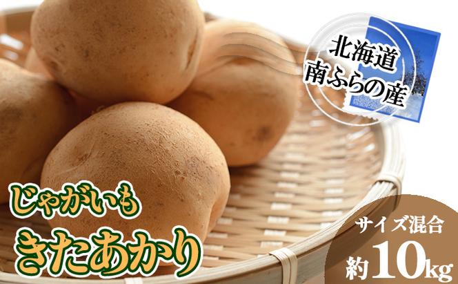 南ふらの産 じゃがいも きたあかり 約10kg【サイズ混合】 北海道 南富良野町 じゃがいも ジャガイモ キタアカリ 北あかり 2024年発送 先行予約 ポテト