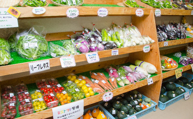 南ふらの産 じゃがいも 男爵 ＆ きたあかり 約10kg【サイズ混合】 北海道 南富良野町 じゃがいも ジャガイモ キタアカリ 北あかり 2024年発送 先行予約 ポテト