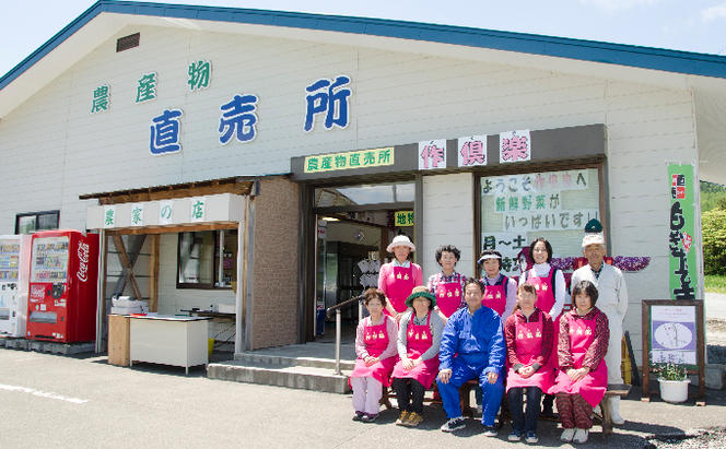 南ふらの産 じゃがいも 男爵 ＆ きたあかり 約10kg【サイズ混合】 北海道 南富良野町 じゃがいも ジャガイモ キタアカリ 北あかり 2025年発送 先行予約 ポテト