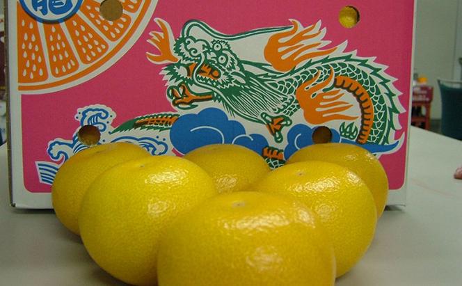 はっさく 八朔 10kg 丸龍はっさく 柑橘 みかん 蜜柑 果物 くだもの フルーツ スイーツ ジュース ゼリー 期間限定 数量限定 香川県 丸亀市