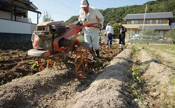 小豆島のさつまいも【紅あずま約5kg】