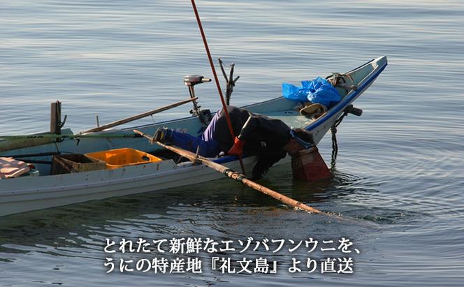 【先行予約】 北海道 礼文島産 採れたて キタムラサキウニ 塩水パック 100g×3 生うに 生ウニ  塩水うに