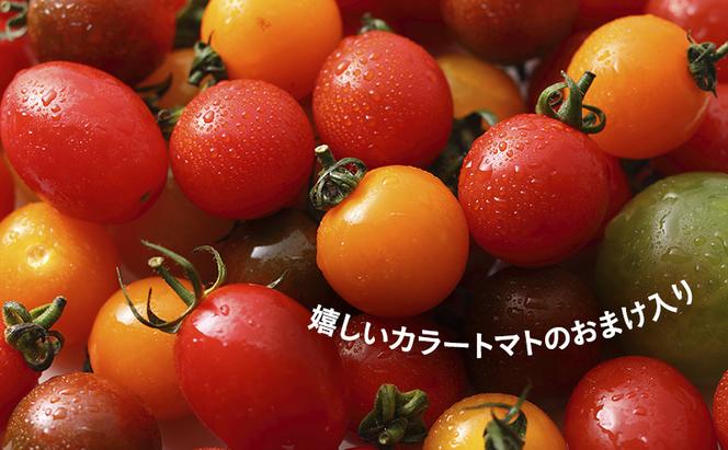 北海道 富良野市産 完熟ミニトマト（甘っこ）約2kg カラートマト・ぷちぷよ付 トマト 甘い 野菜 新鮮 数量限定 先着順【藏ファーム】