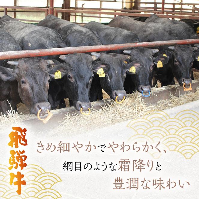 飛騨牛 岐阜県海津市産 すき焼き 切り落とし 500g 牛肉
