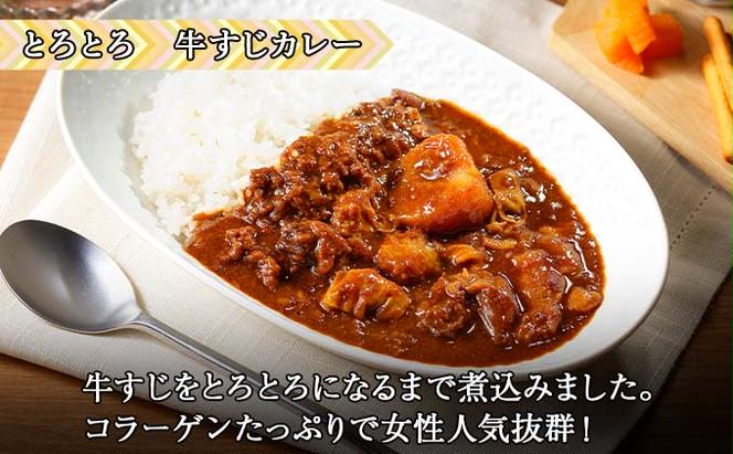 倶知安 牛すじカレー 北海道 計3個 中辛 レトルト食品 加工品 牛すじ 牛肉 野菜 じゃがいも お取り寄せ グルメ スパイシー スパイス おかず【お肉・牛肉】