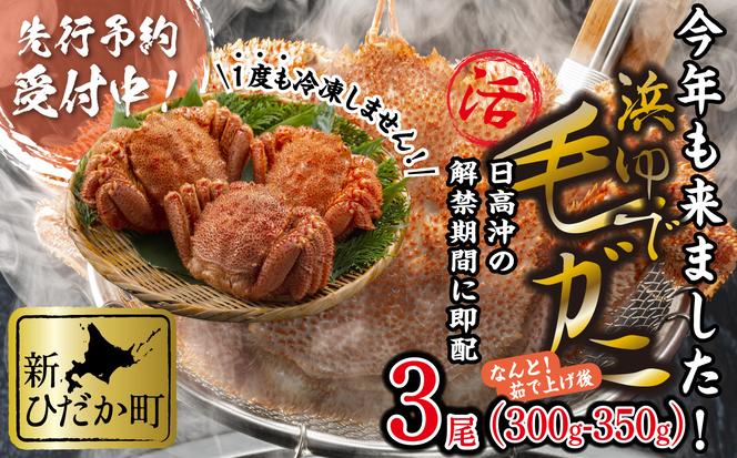 ＜2025年1月中旬から順次発送＞ 北海道産 かに 浜ゆで 毛がに 3尾 計 900g 以上 ＜予約商品 ＞ 毛蟹 毛ガニ 北海道 冷蔵 毛蟹 毛ガニ けがに かに 蟹 カニ かに味噌 カニ味噌 新鮮 旬 ボイル 浜茹で 海鮮 海産物 新鮮 旬 魚介 蟹味噌 みそ 新ひだか町