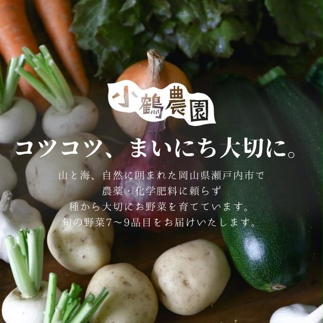 小鶴農園 季節のお野菜7～9品目セット（農薬・化学肥料不使用）【配達不可：北海道・沖縄・離島】