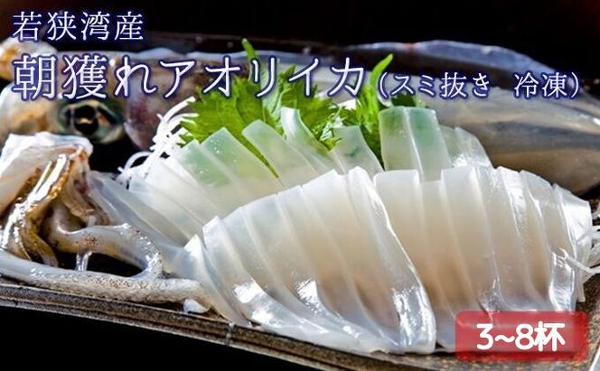 朝どれ アオリイカ 3～8杯 スミ抜き 冷凍 若狭湾産 朝どれ魚 イカ 烏賊 いか 冷凍イカ 海鮮 福井 福井県 若狭町（福井県若狭町） |  ふるさと納税サイト「ふるさとプレミアム」