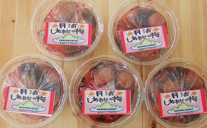 北海道・樹齢130年の梅漬け「しあわせの梅」1kg（200g×5個）