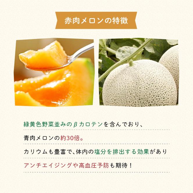 【2025年7月中旬より発送】ふらの 赤肉 メロン 約2kg×4玉 北海道 富良野市 (JAふらの) メロン フルーツ 果物 新鮮 甘い 贈り物 ギフト 道産 ジューシー おやつ ふらの ブランド 夏 