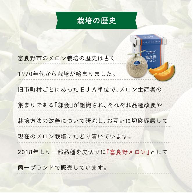 【2025年7月中旬より発送】ふらの 赤肉 メロン 約2kg×4玉 北海道 富良野市 (JAふらの) メロン フルーツ 果物 新鮮 甘い 贈り物 ギフト 道産 ジューシー おやつ ふらの ブランド 夏 