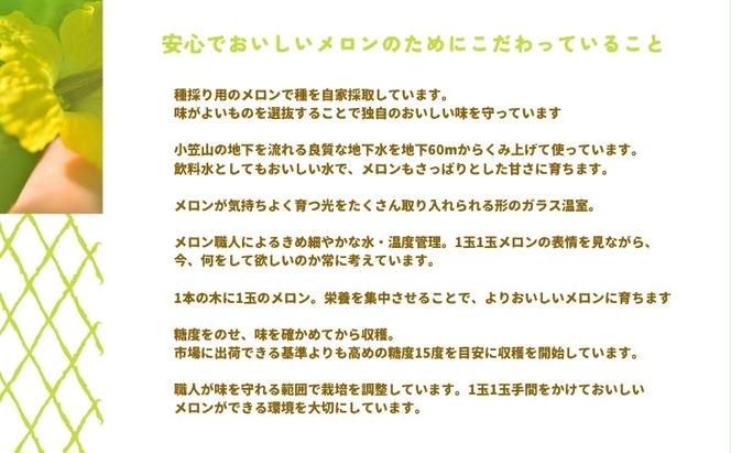 【先行予約】温室育ちのマスクメロン 春果 特選 1玉 人気 厳選 ギフト 贈り物 デザート グルメ フルーツ 果物 袋井市