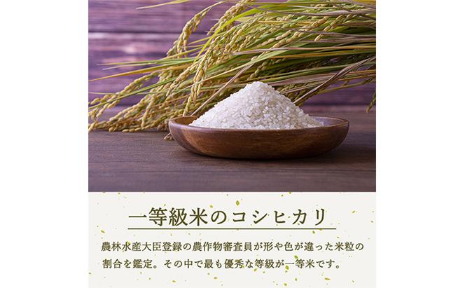 【4ヵ月定期便】ベストファーマーズ賞受賞　コシヒカリ【無洗米】5kg