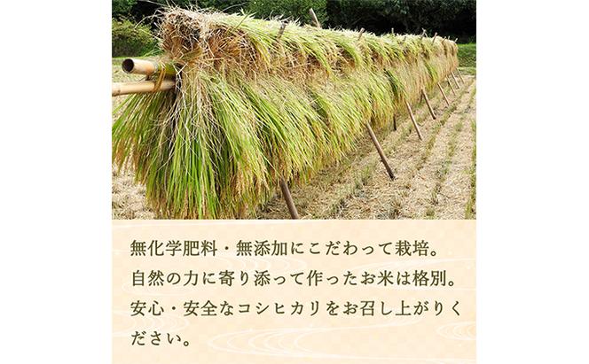 【6ヵ月定期便】ベストファーマーズ賞受賞 コシヒカリ【玄米】5kg