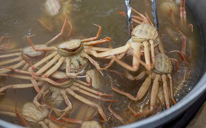 茹でコッペがに 子持ち 特大サイズ 3杯セット（冷蔵） ボイル 蟹 松葉ガニ ズワイガニ カニ かに 茹で 子持ち 内子 外子 蟹味噌 京都 海の京都