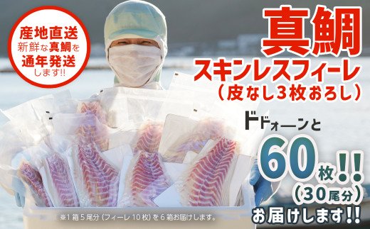 ふかうら真鯛（スキンレスフィーレ）　ドドォーンと６０枚！！（３０尾分）