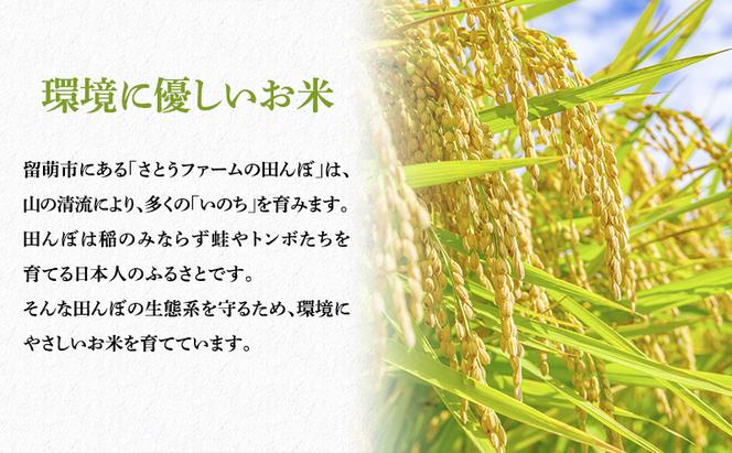 【6ヶ月定期便】北海道南るもい産 ゆめぴりか（無洗米）5kg×2袋