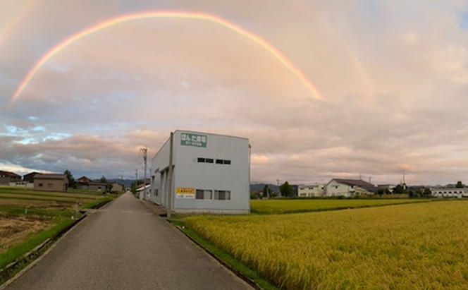 天日干有機米こしひかり「天地の誉」玄米5kg×2個