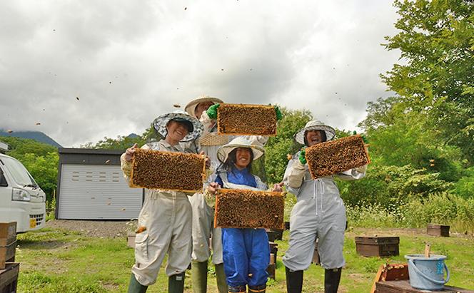 『ビーキーパー養蜂体験』1名様・体験参加チケット【もっと富良野が好きになる！地元体験プログラム／ウレシパ・フラノ】