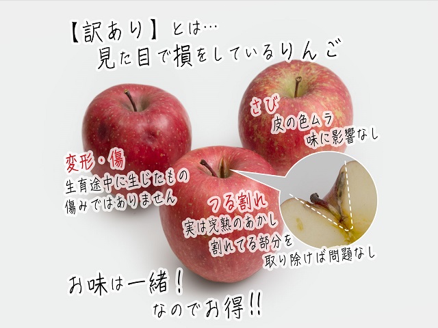 青森県産  サンふじ  りんご 加工用 20kg  産地直送 リンゴ 林檎