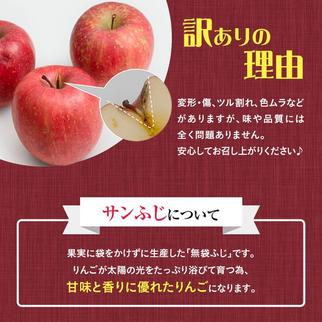 青森県産  サンふじ  りんご 加工用 20kg  産地直送 リンゴ 林檎