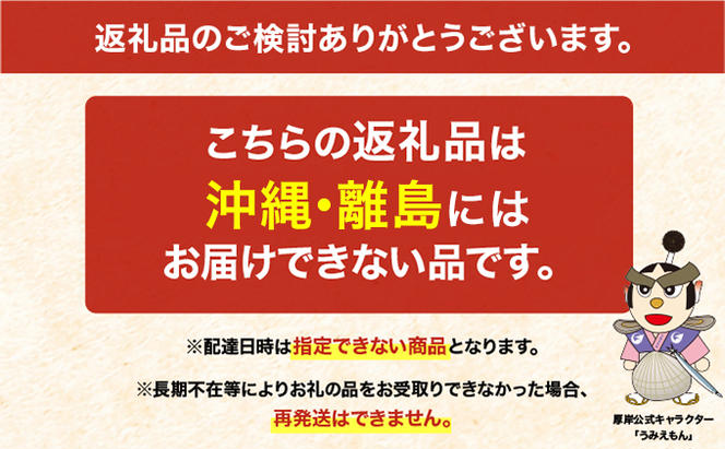 3ヵ月 定期便 純厚岸産カキの復活　カキえもんスペシャル 生食用 24個お届け 厚岸町で一番小さい牡蠣 (合計約72個) カキナイフ付き 牡蠣 かき