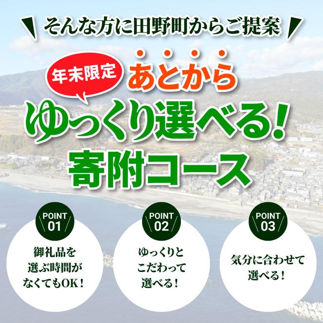 【年末限定】返礼品は後からゆっくり選べる寄附コース★E★ ～2024年度版～ あとから選べる おすすめ 人気 カツオ カツオのたたき うなぎ 鰻 肉 酒 塩 魚 魚介 カタログ 1000000円