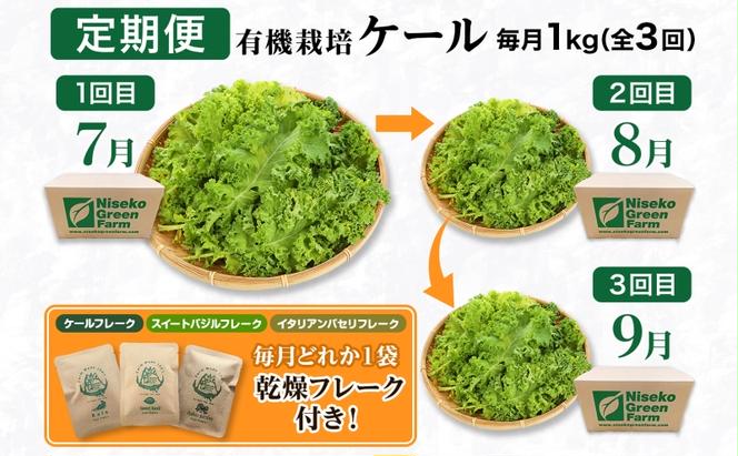 北海道 定期便 3ヵ月連続3回 北海道 有機栽培 ケール 1kg 乾燥フレーク付 オーガニック 有機野菜 緑黄色野菜 JAS 冷蔵 産直 産地直送 国産 ニセコグリーンファーム 送料無料 