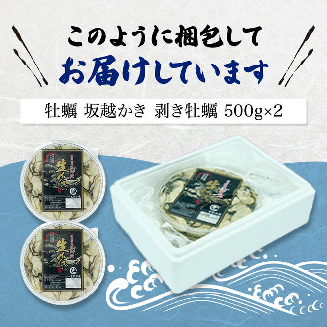  牡蠣 坂越かき 剥き牡蠣 500g×2[ 生牡蠣 かき カキ むき身 剥き身 生食 冬牡蠣 ]