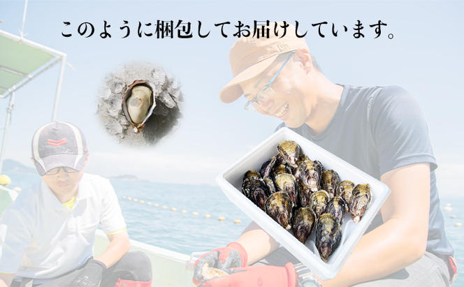  【夏も美味しい】牡蠣 坂越かき 赤穂クリスタルブラン20個（牡蠣ナイフ・軍手付き）[ 生牡蠣 かき カキ 殻付 生食 ]