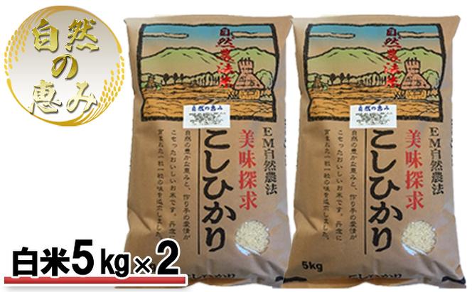 自然農法米こしひかり「自然の恵み」白米5kg×2個《特別栽培米》（石川