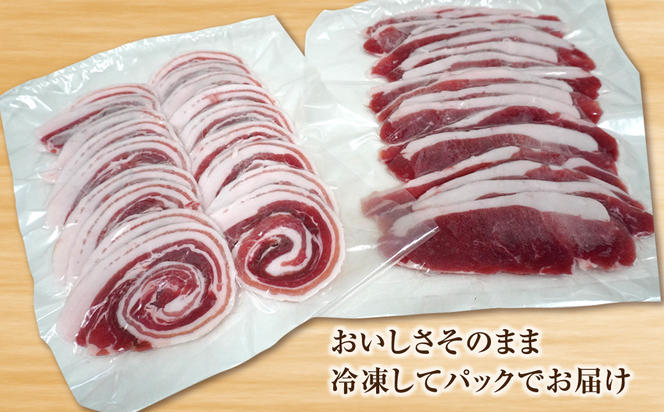 淡路産 猪肉スライス ５００ｇ