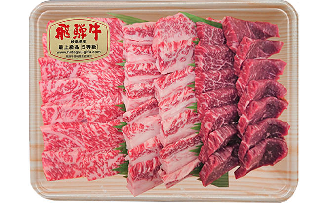 飛騨牛焼肉セット600g（5等級・冷凍）