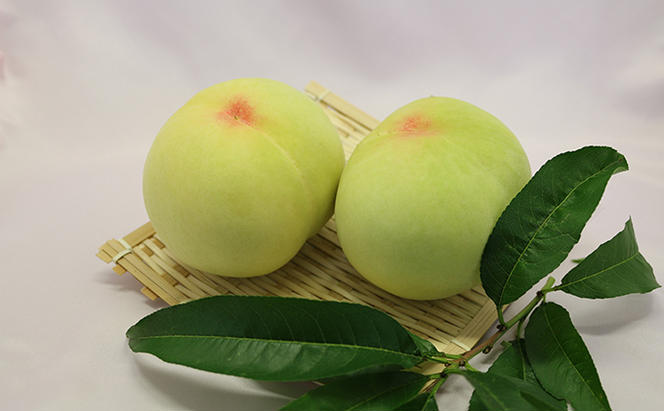 ご家庭用 おかやま夢 白桃 約2kg（6～8玉） 藤井農園 岡山 桃 もも 果物 フルーツ 2024年 先行予約