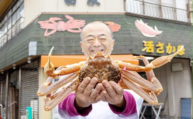 日本海産 茹で松葉蟹 特大1杯 約1kg(冷蔵) ボイル 蟹 松葉ガニ ズワイガニ カニ かに 茹で 蟹味噌 京都 海の京都 日本海 国産 海鮮