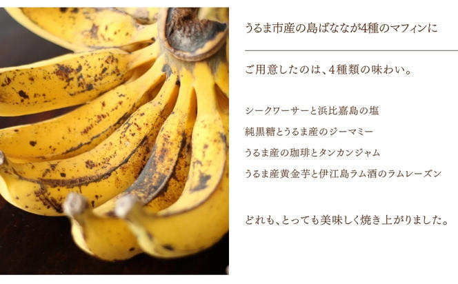 【ぬちぐすいvegan】島野菜マフィン3種類9個詰め合わせ