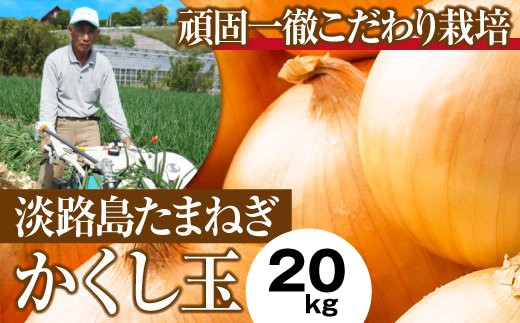 今井ファームの淡路島たまねぎ「かくし玉」20kg