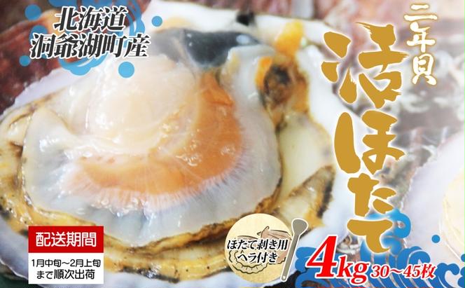 【ふるさと納税】 活ほたて 2年貝 約 4kg 30枚～45枚 帆立 ホタテ ほたて 貝 魚貝 魚介 海産 海鮮 貝柱 噴火湾 刺身 焼き フライ 甘み 旨み 土産 贈り物 自宅用 料理 生産者支援 生産者応援 産地直送 送料無料 北海道 洞爺湖町