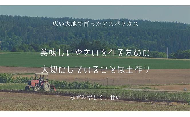 ［武田農園とれたて直送］グリーンアスパラ 2L 1kg やわらかくて抜群にあまい！北海道 富良野産 (アスパラガス アスパラ 野菜 新鮮 産地直送 先行予約 限定)