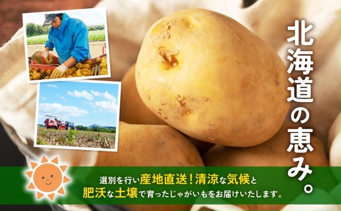 北海道産 青野農園 じゃがいも とうや Lサイズ 約10kg 北海道 ジャガイモ トウヤ 馬鈴薯 ばれいしょ ポテト 芋 いも イモ 黄色 旬 野菜 農作物 産地直送 お取り寄せ 送料無料